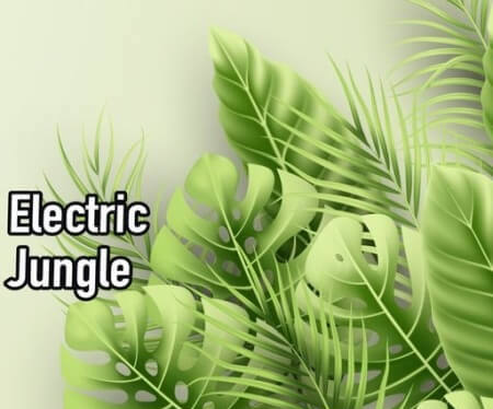 AudioFriend Electric Jungle WAV